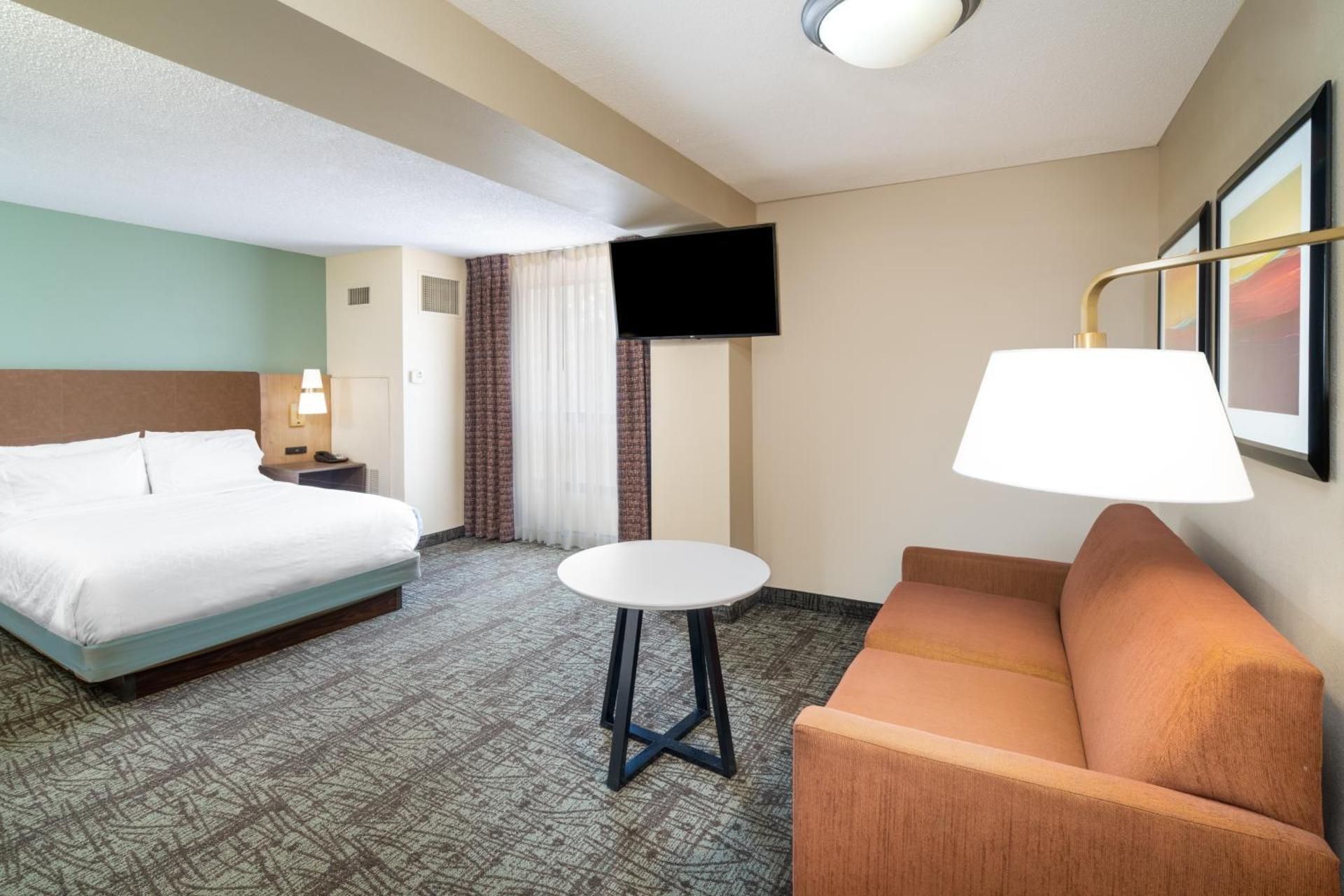 1 Queen Bed Studio Suite
