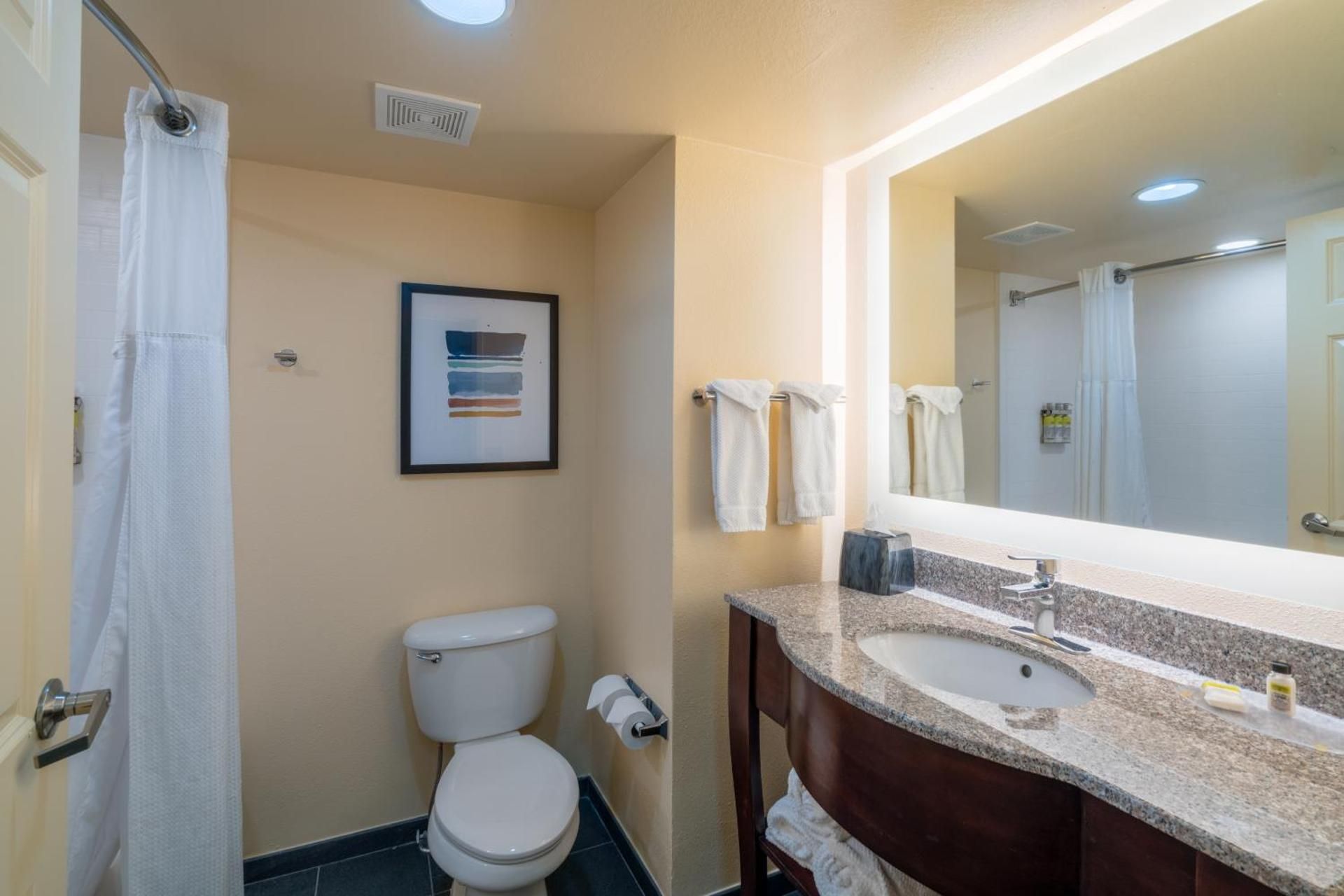 1 Queen Bed Studio Suite