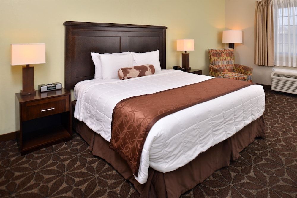 Room, 1 King Bed, Non Smoking