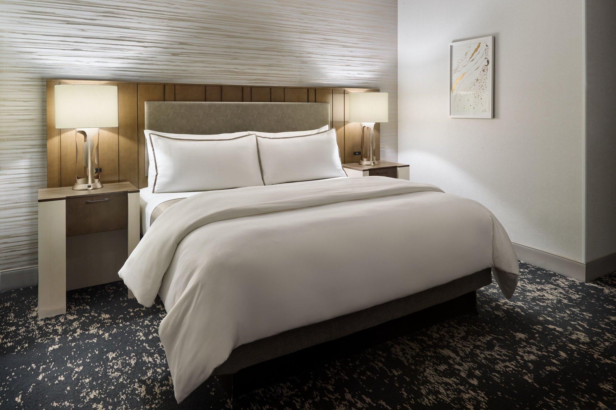 1 Bedroom Junior Suite, 1 King, Sofa bed