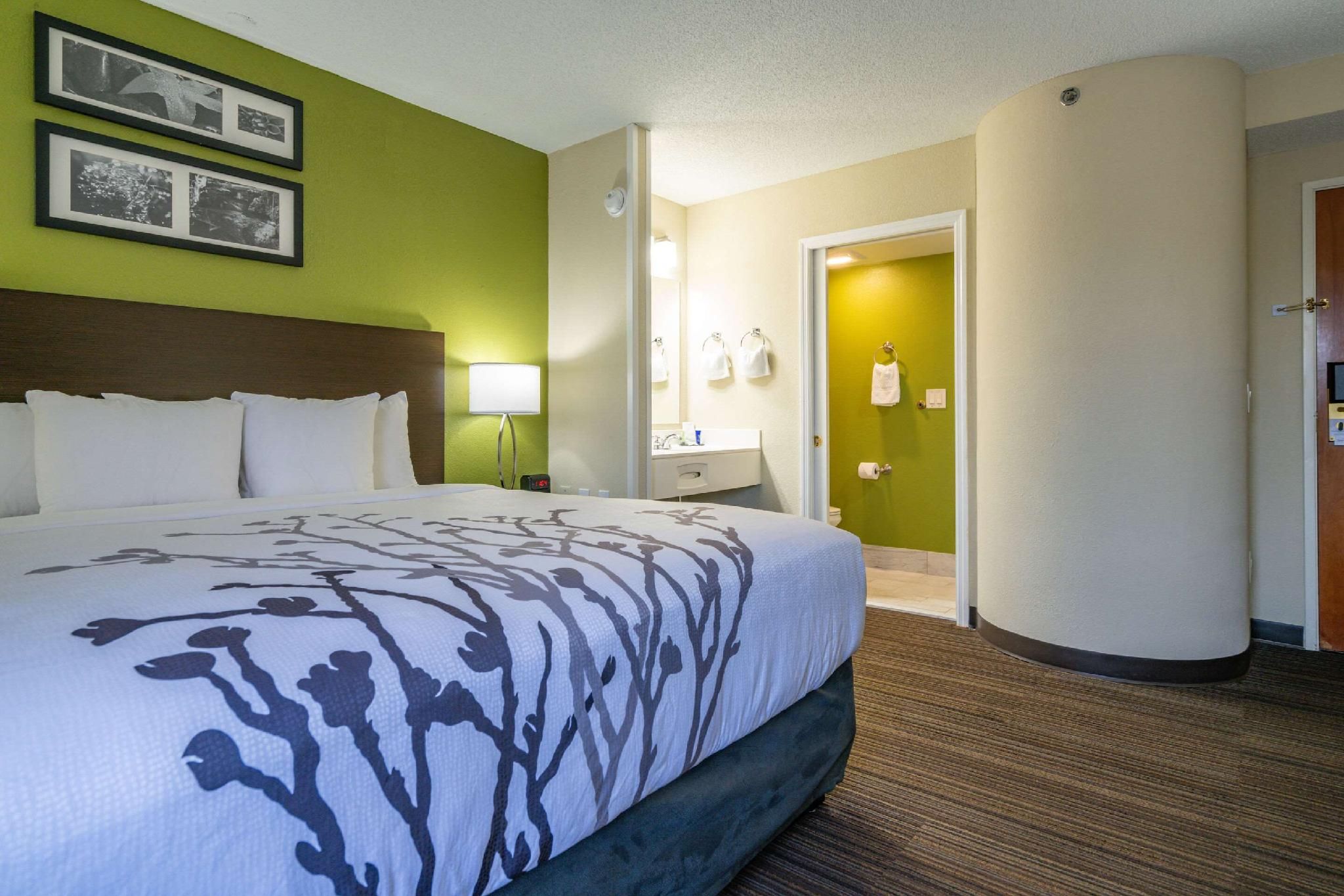 1 King Bed, Nonsmoking