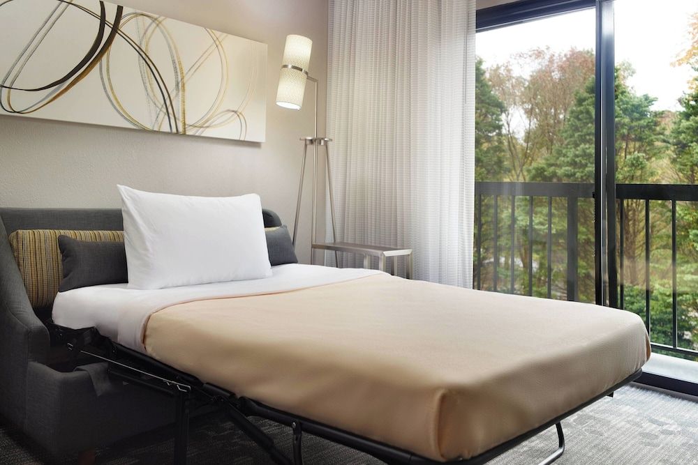 Room, 1 King Bed with Sofa bed, Non Smoking (Mobility/Hearing Accessible, Tub)