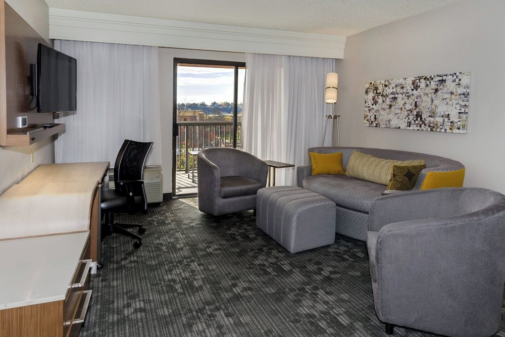 Suite, 1 King Bed with Sofa bed