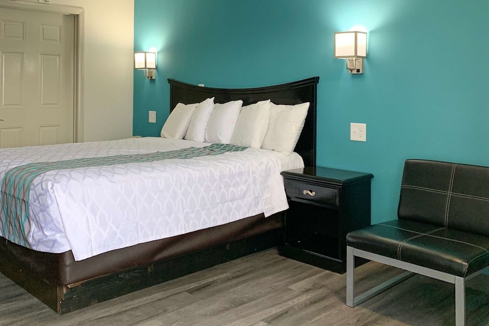 Room, 1 King Bed