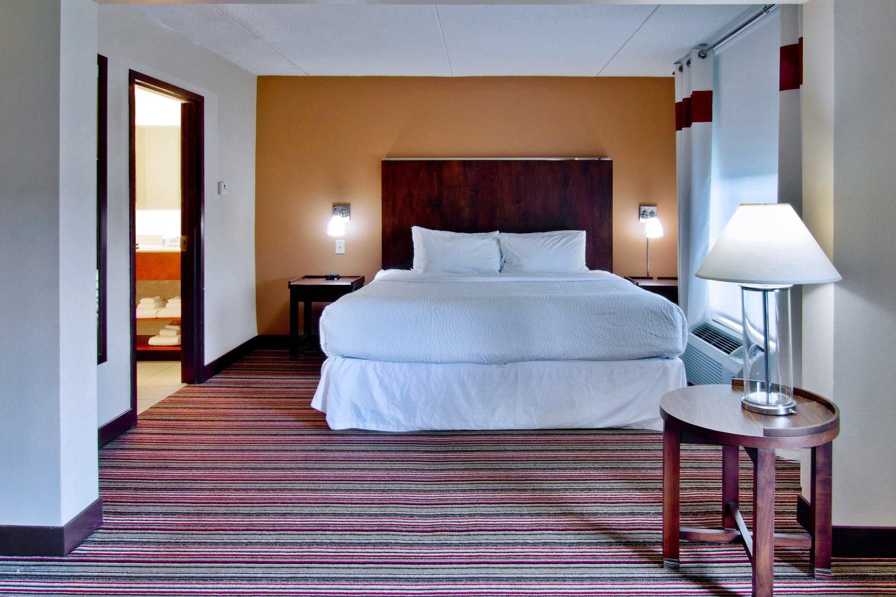 1 Bedroom Suite, 1 King, Sofa bed