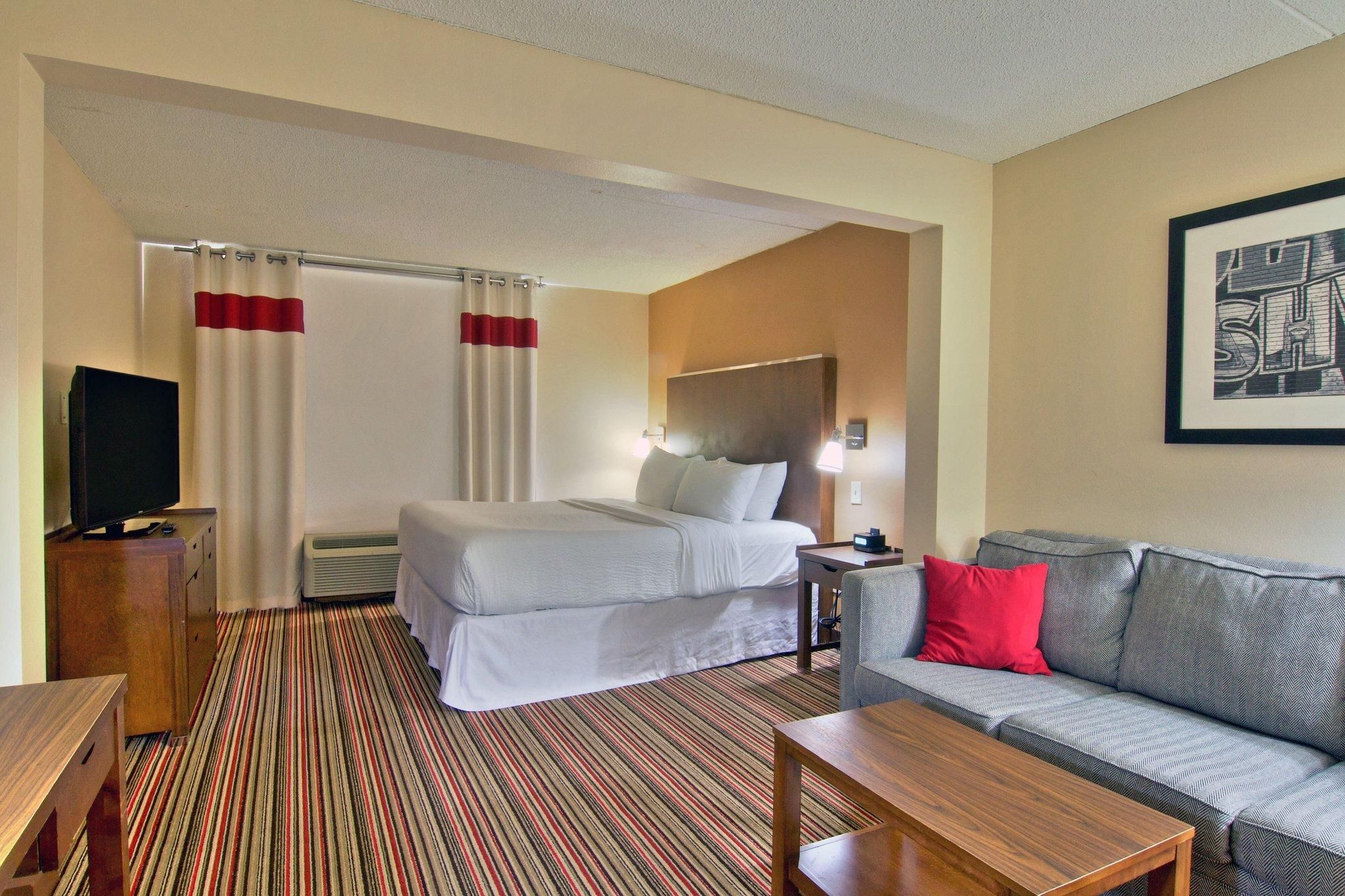 Guest room, 1 King, Sofa bed
