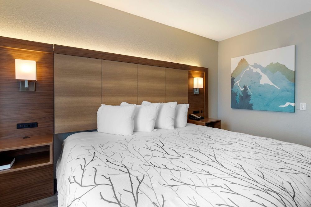 Standard Room, 1 King Bed, Accessible, Refrigerator & Microwave