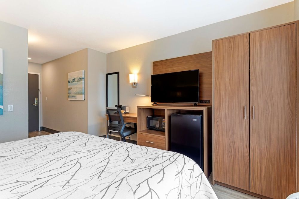 Standard Room, 1 King Bed, Accessible, Refrigerator & Microwave