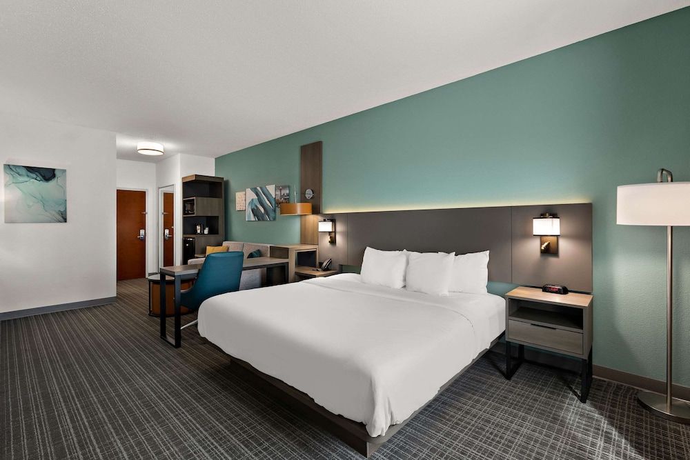Suite, 1 King Bed with Sofa bed, Non Smoking