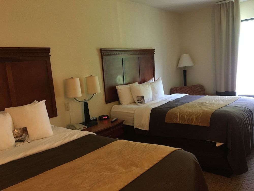 Basic Suite, Multiple Beds, Accessible, Non Smoking