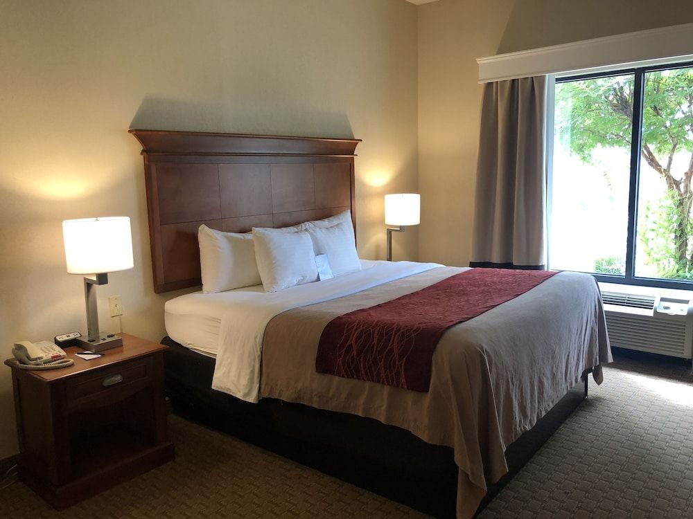 Basic Room, 1 King Bed, Accessible, Non Smoking