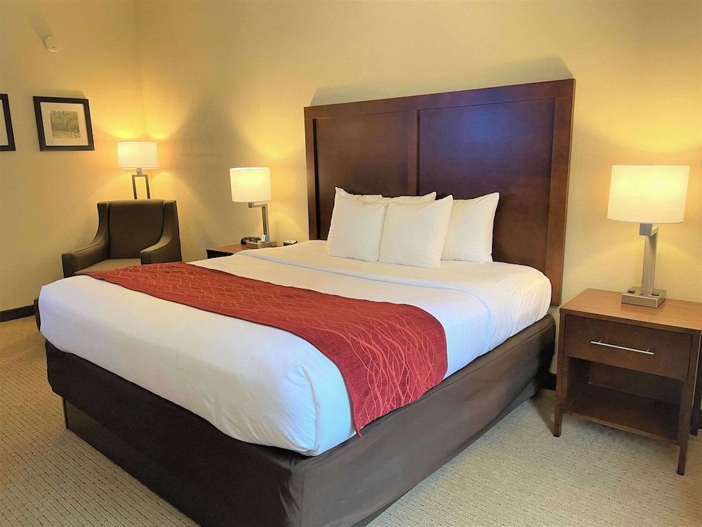 Basic Room, 1 King Bed, Accessible, Non Smoking (Roll-In Shower)