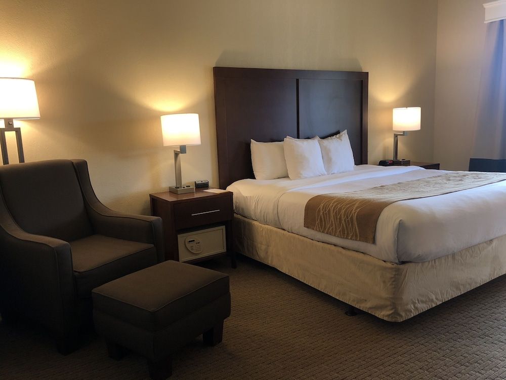 Basic Room, 1 King Bed, Accessible, Non Smoking
