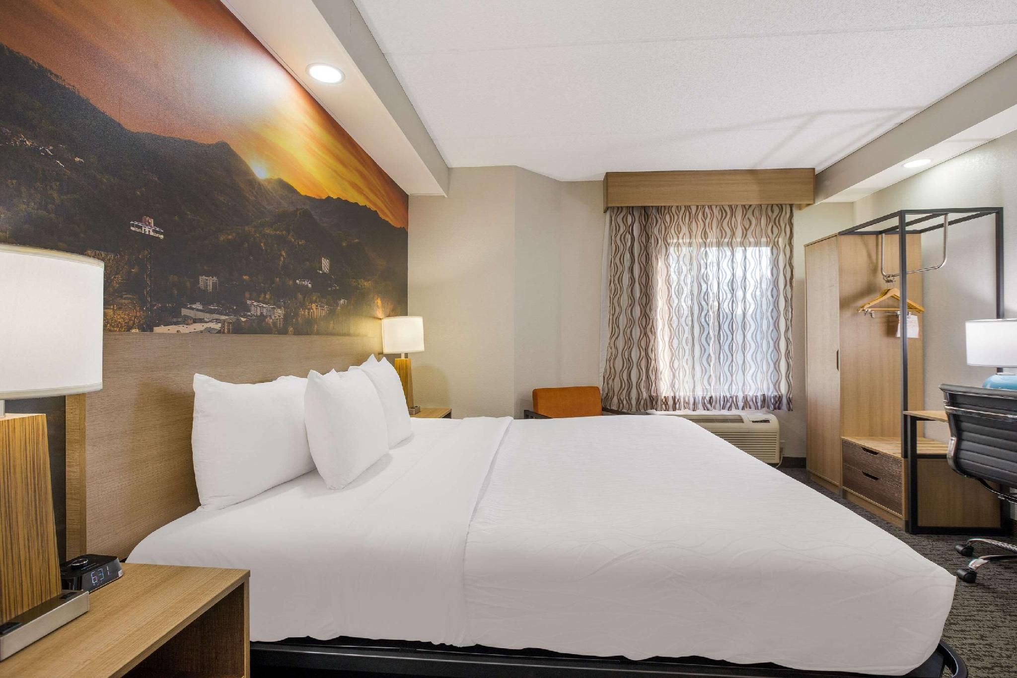 1 King Bed, Nonsmoking
