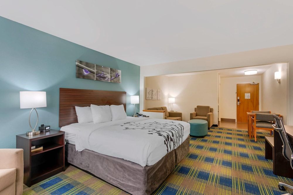 Suite, 1 King Bed, Accessible, Non Smoking