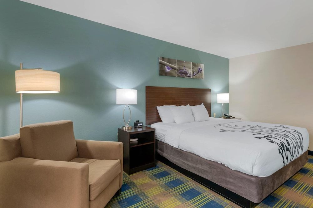Standard Room, 1 King Bed, Non Smoking