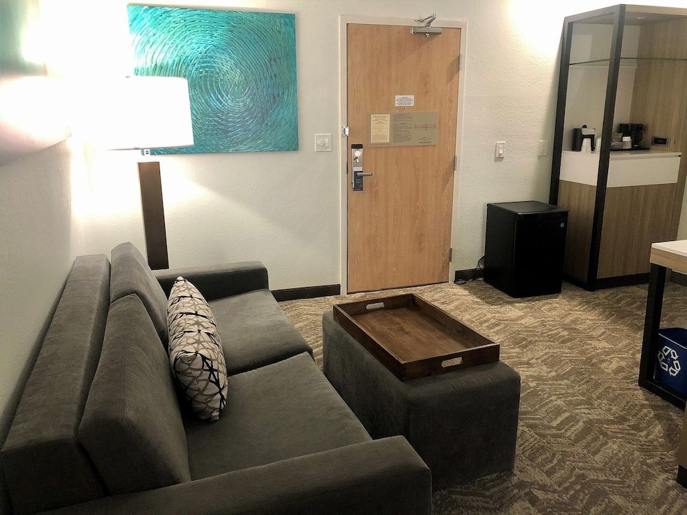 Suite, 1 King Bed with Sofa bed, Non Smoking