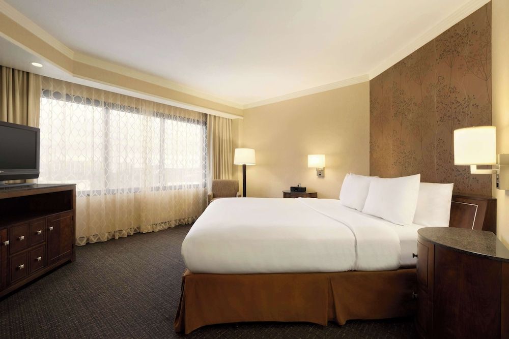 Embassy Suites by Hilton Austin Downtown South Congress Suite, 1 King Bed, Non Smoking 2
