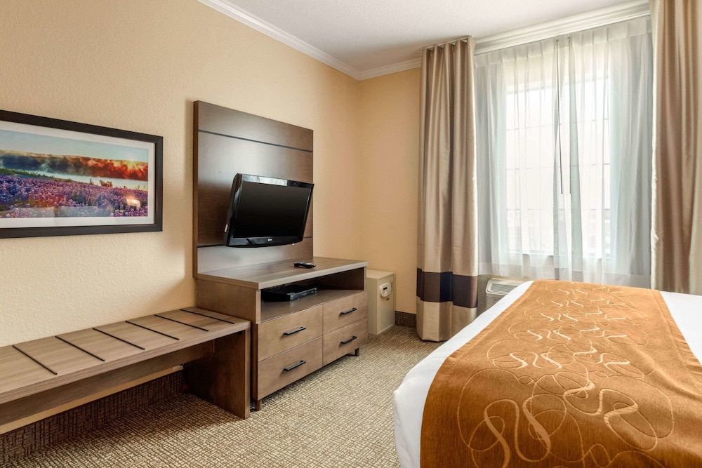Suite, 1 King Bed with Sofa bed, Accessible, Non Smoking