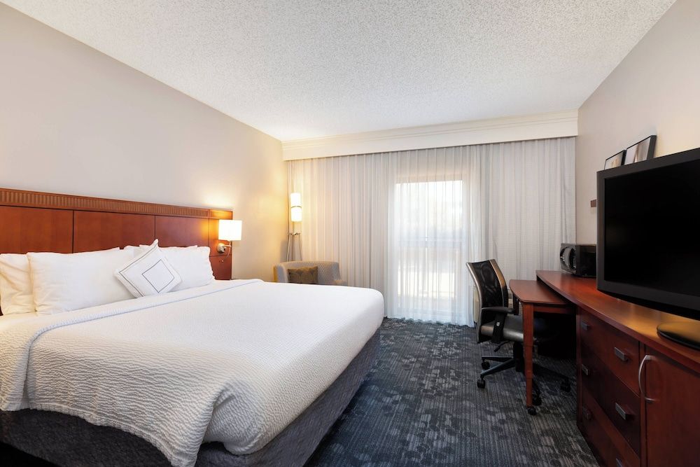 Room, 1 King Bed with Sofa bed (Hearing Accessible)