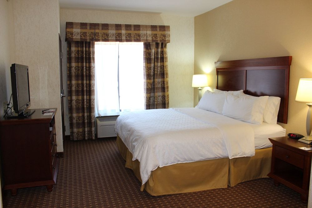 Suite, 1 King Bed with Sofa bed