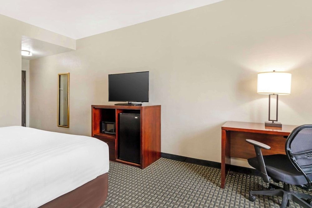 Standard Room, 1 King Bed, Non Smoking, Refrigerator & Microwave