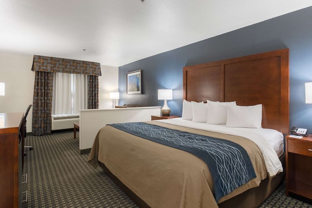 Executive Room, 1 King Bed, Non Smoking, Refrigerator & Microwave (with Sofabed)