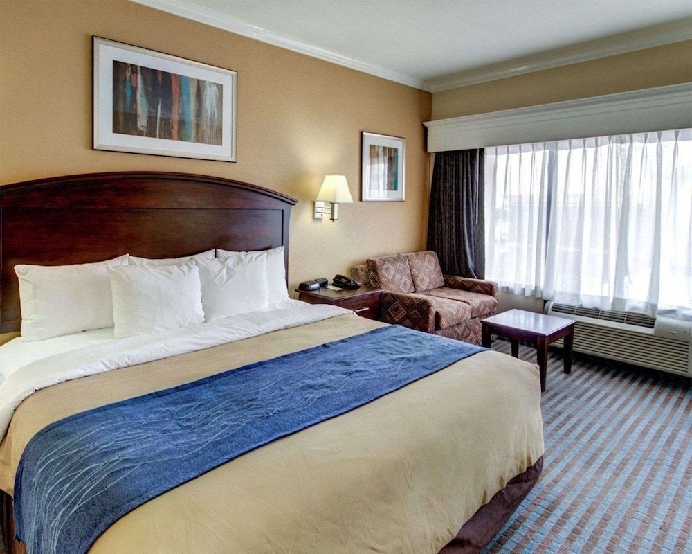 Standard One King Bed Non-Smoking