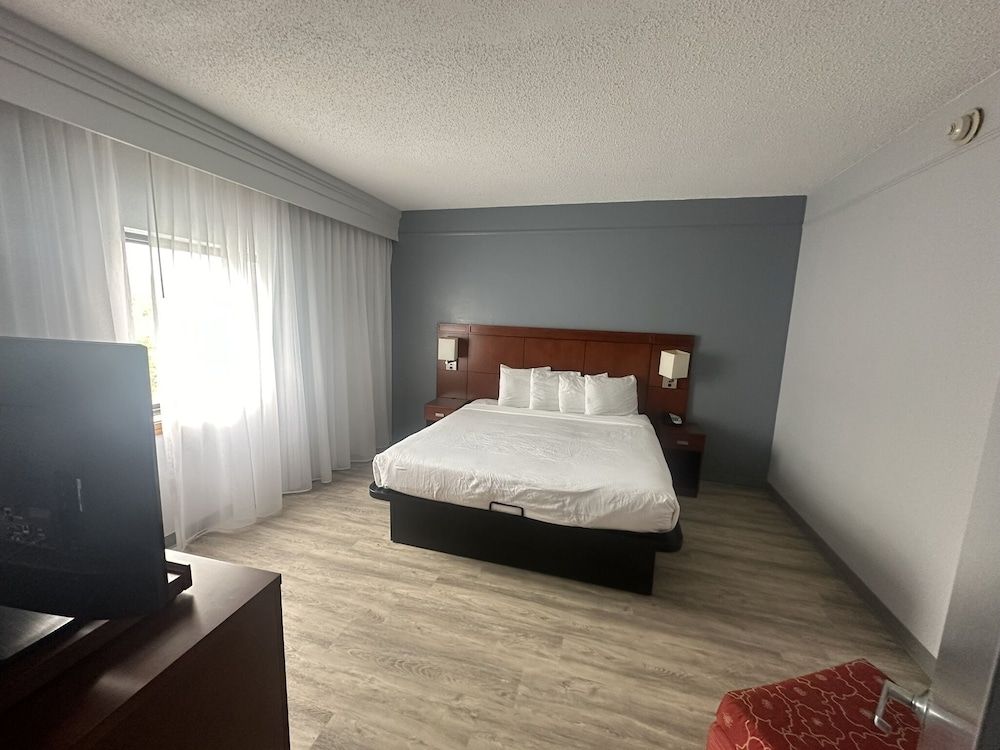 Room, 1 King Bed, Accessible, Non Smoking (Mobility, Tub w/ Grab Bars)