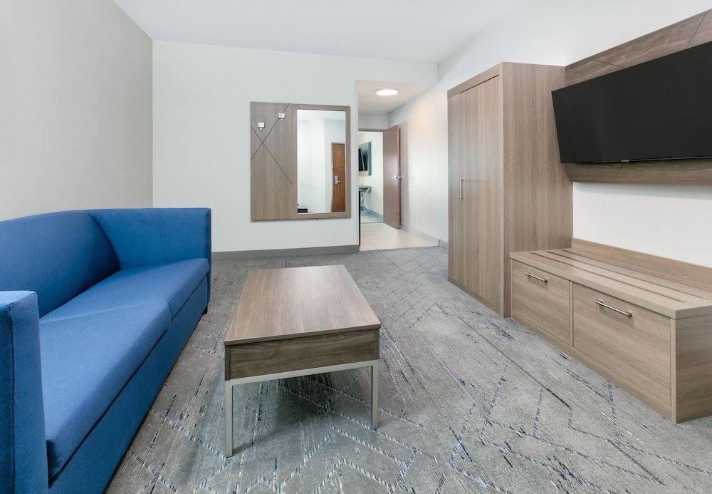 Suite, 1 King Bed with Sofa bed