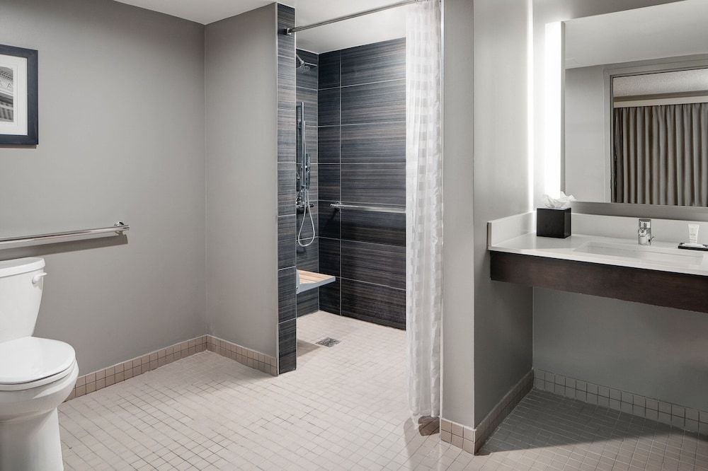 Room, 1 King Bed (Mobility Accessible, Roll-In Shower)