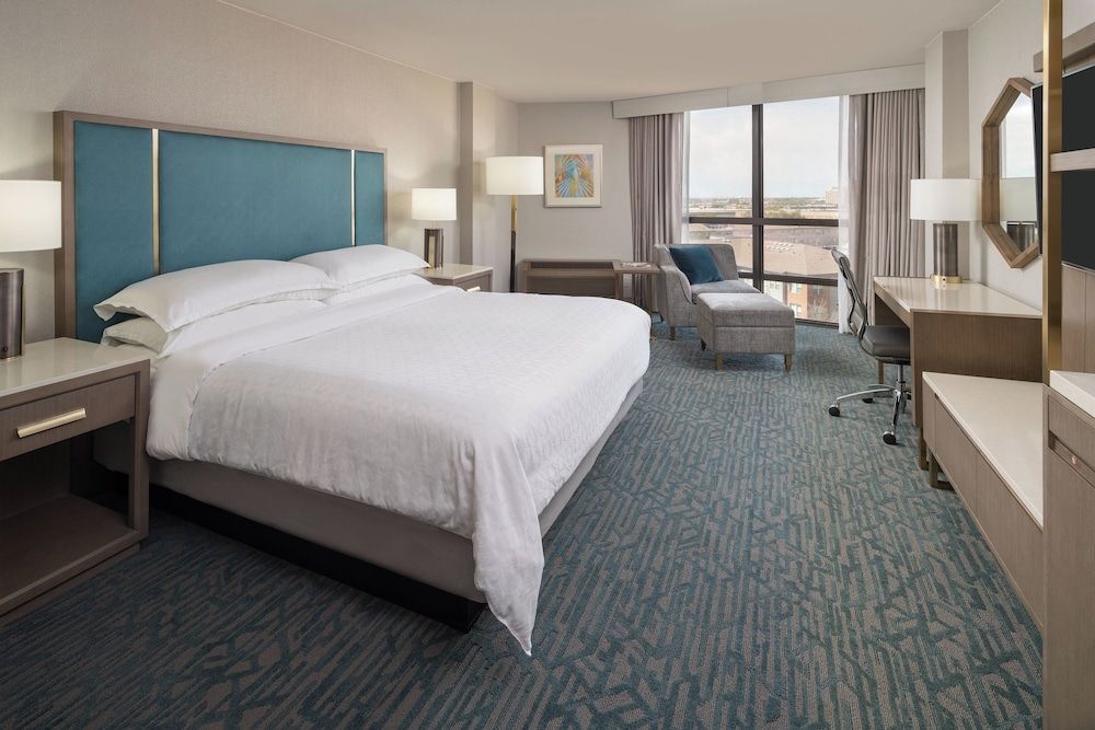 Traditional Room, 1 King Bed (Mobility Accessible, Roll-In Shower)
