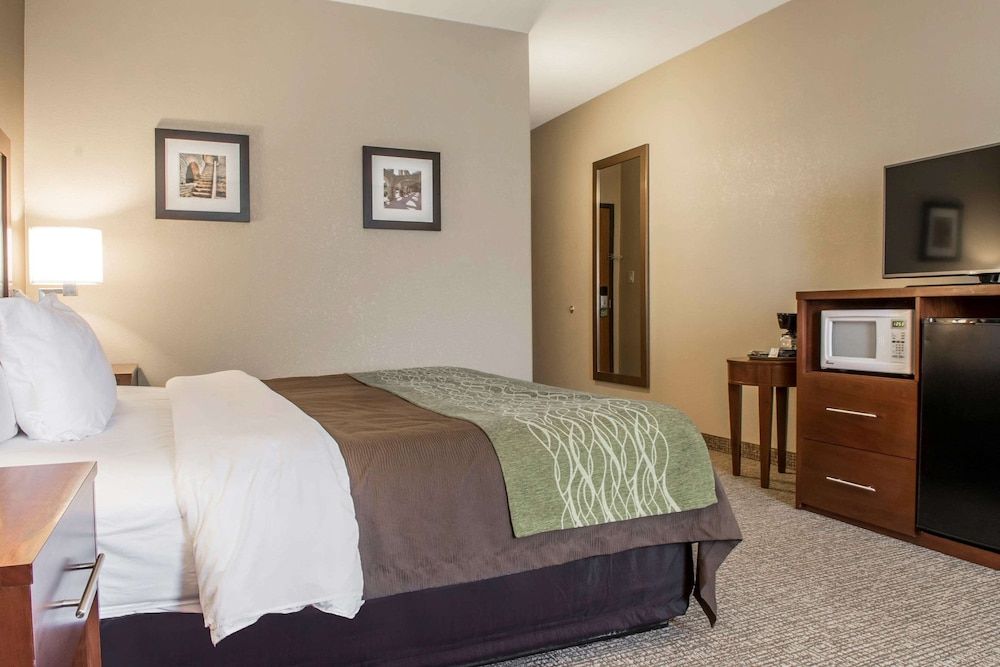 Standard Room, 1 King Bed, Non Smoking