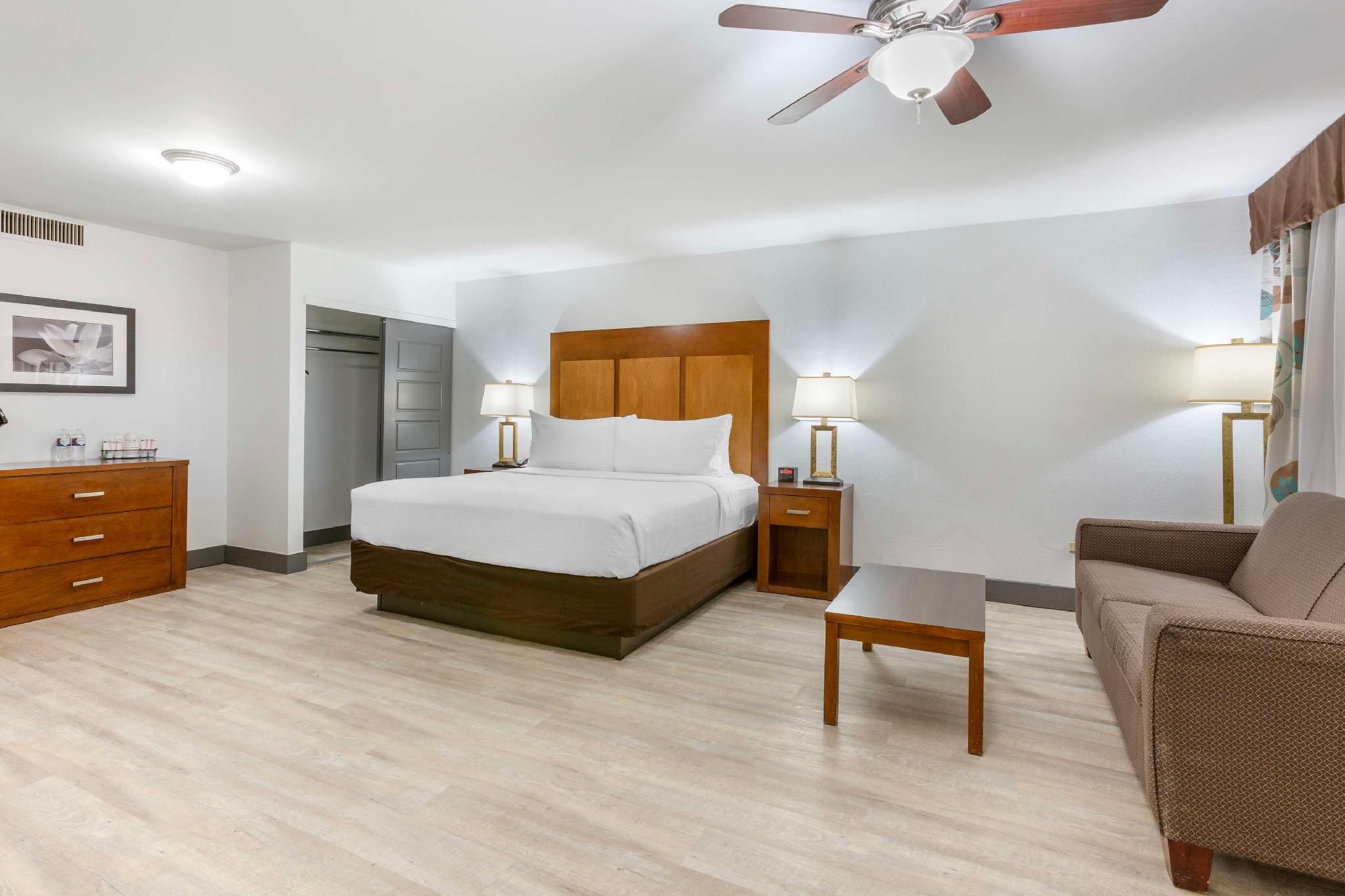 1 King Bed, Nonsmoking, Second Floor, Larger Room, Sofabed