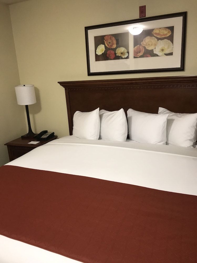 Suite, 1 Bedroom, Non Smoking