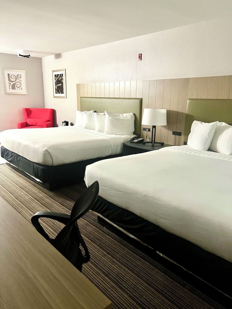 Suite, 1 Bedroom, Accessible, Non Smoking