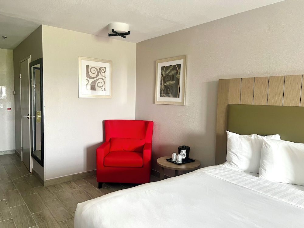Suite, 1 Bedroom, Accessible, Non Smoking