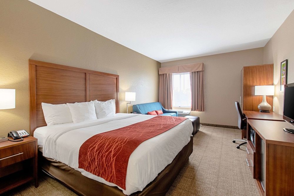One King Bed Non Smoking