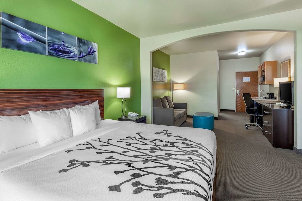 Suite, 1 King Bed with Sofa bed