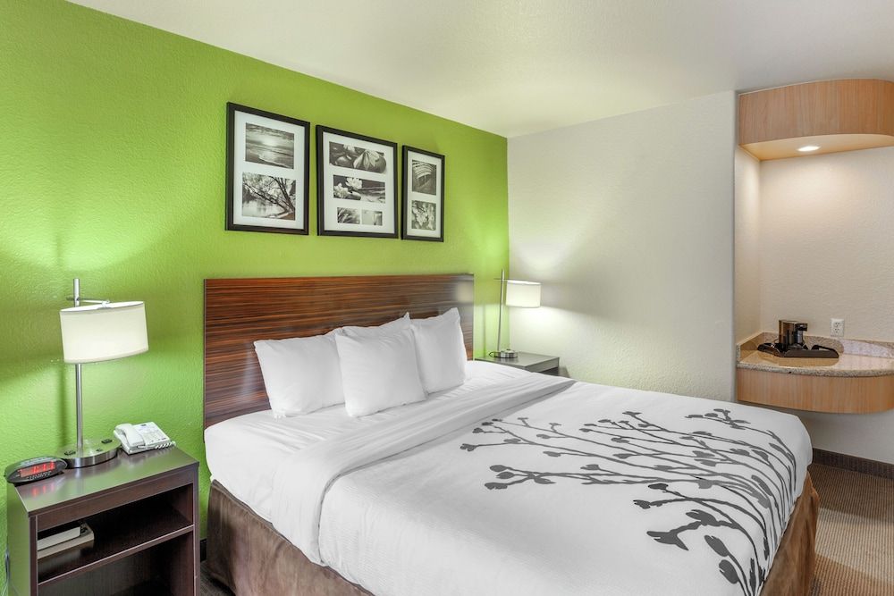 Room, 1 King Bed, Accessible, Non Smoking