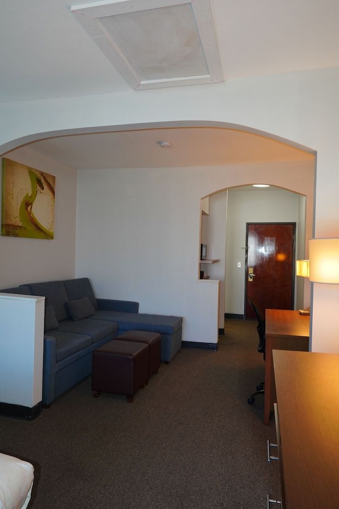 Comfort Suites Bush Intercontinental Airport Suite, 1 King Bed, Non Smoking 8