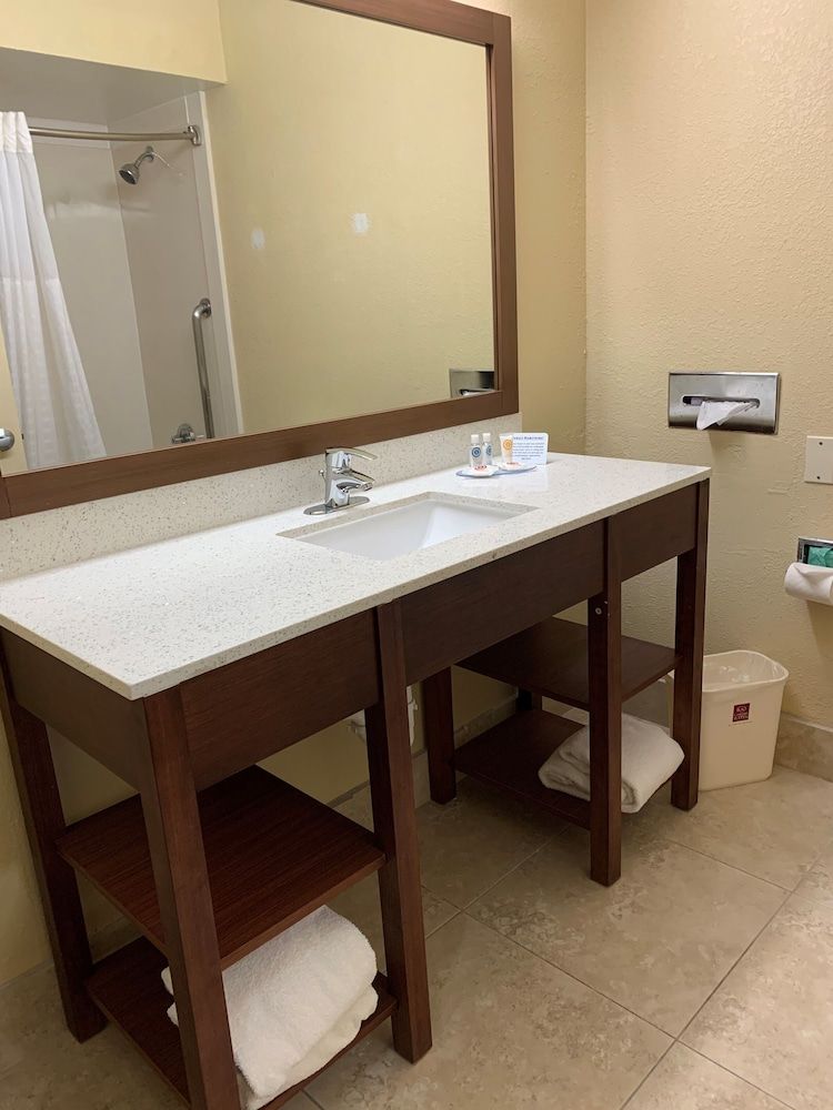 Comfort Suites Bush Intercontinental Airport Suite, 1 King Bed, Non Smoking 7
