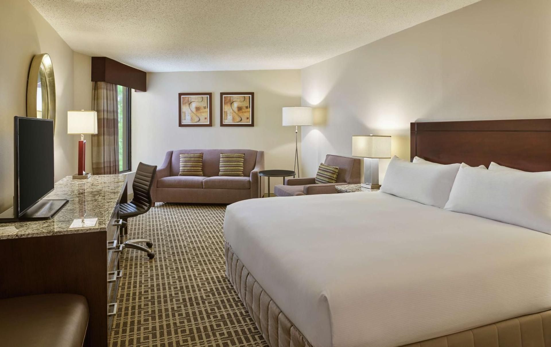 undefined DoubleTree by Hilton Houston Intercontinental Airport 8