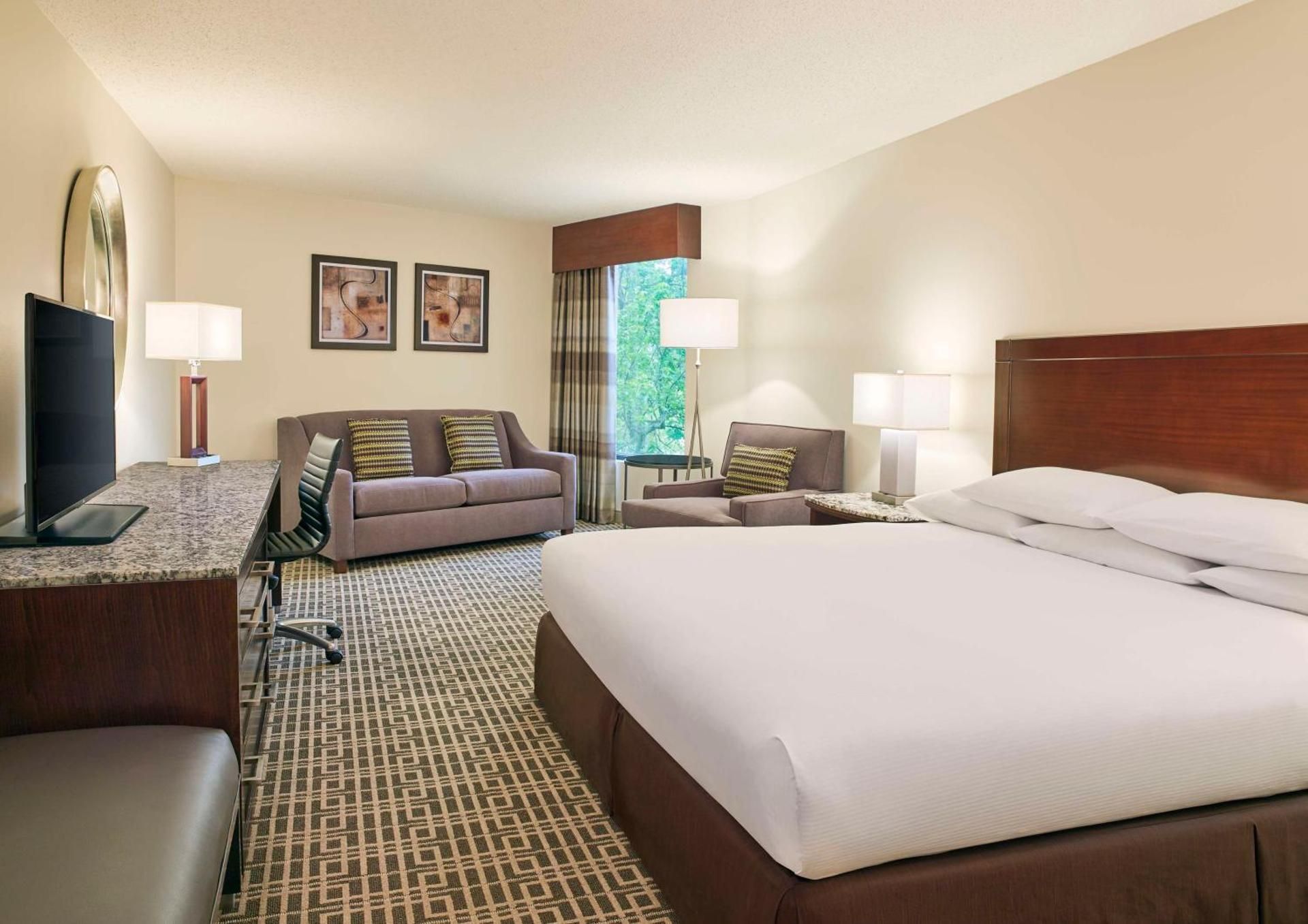undefined DoubleTree by Hilton Houston Intercontinental Airport 9