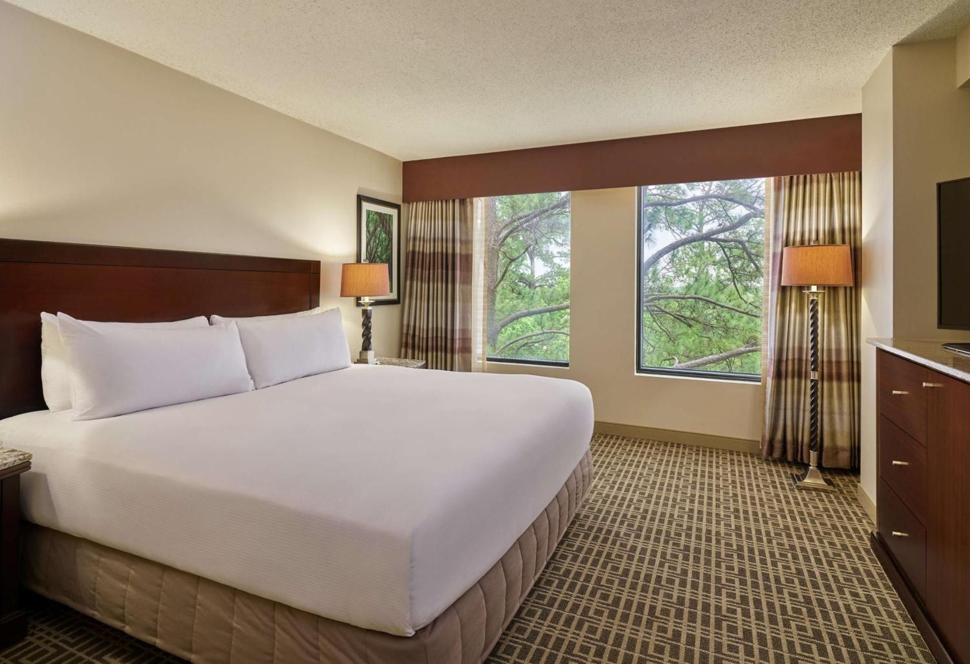 undefined DoubleTree by Hilton Houston Intercontinental Airport 6