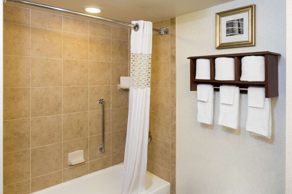 Hampton Inn Houston-Near The Galleria Standard 2 Doubles 3
