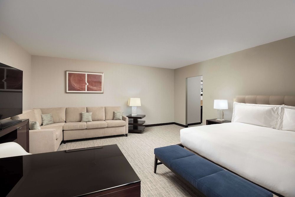 Room, 1 King Bed