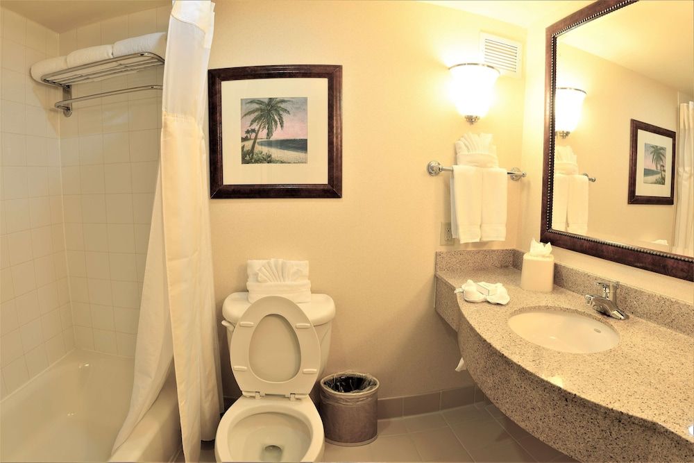 ACP Hotel Houston Westchase, MOD Collection by Sonesta Room, 1 King Bed 4