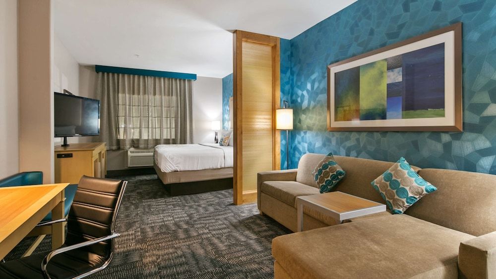 Suite, 1 King Bed, Non Smoking, Refrigerator & Microwave (with Sofabed)