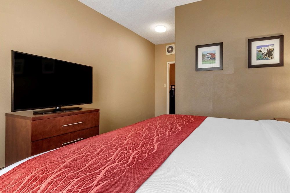 Room, 1 King Bed, Accessible, Non Smoking